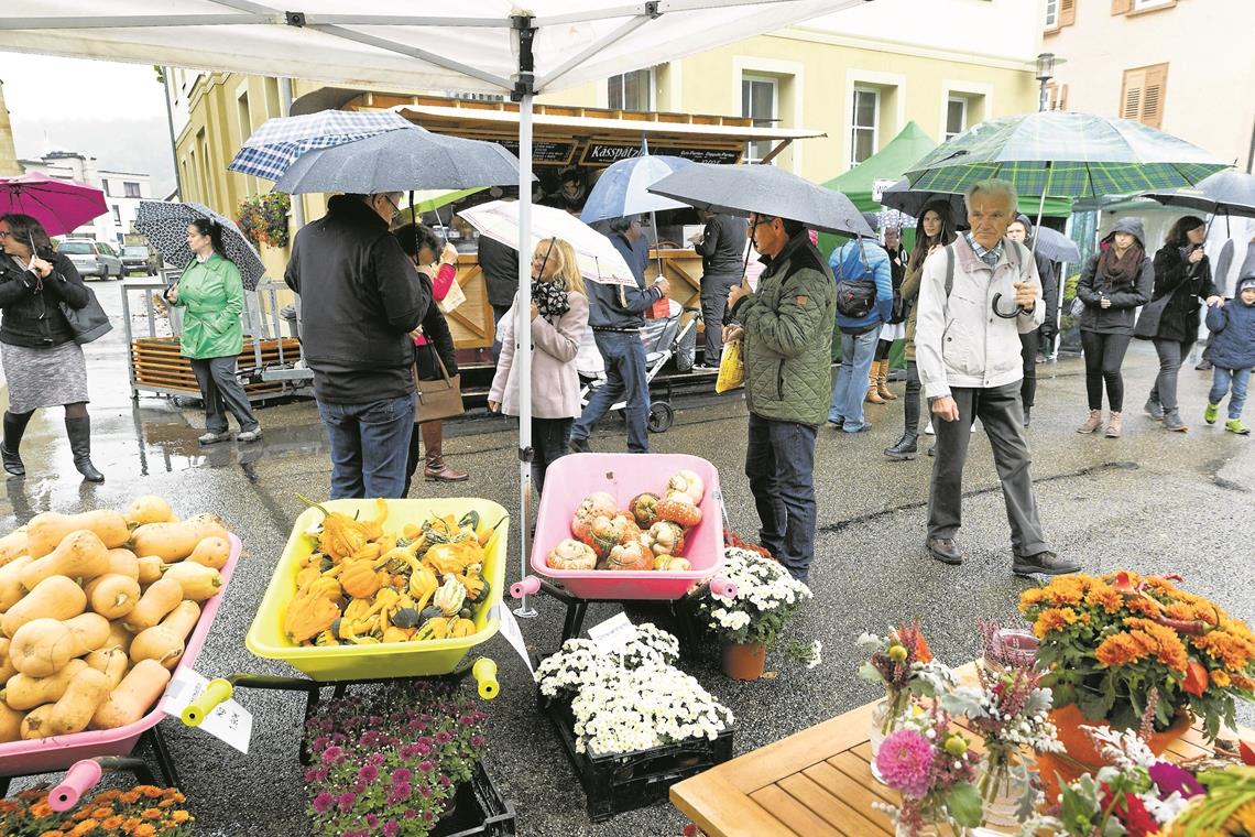 Ein Festival für alle Sinne Der Spaßfaktor beim Bummel über den Naturparkmarkt in Murrhardt wurde durch das Regenwetter gedämpft. Foto: J. Fiedler