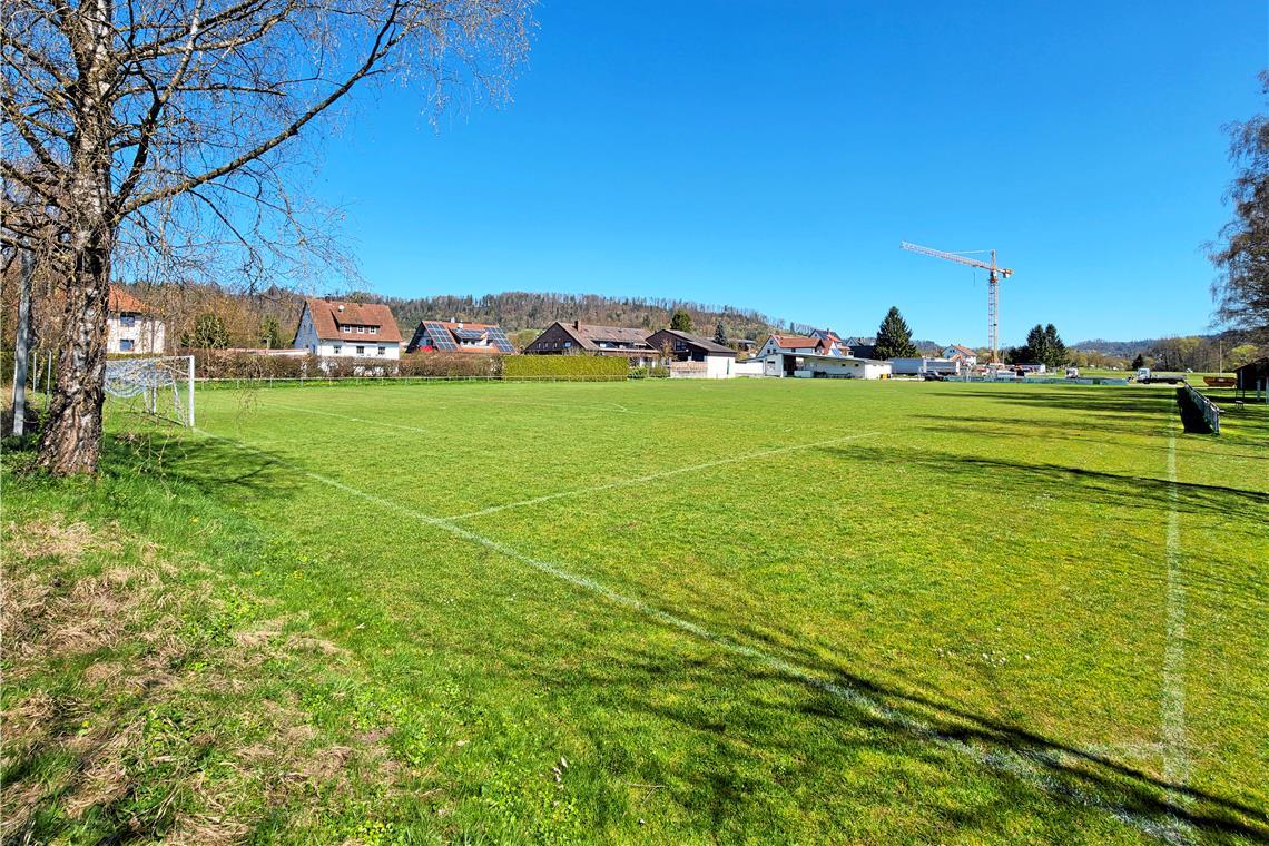 Der Sportplatz in Fornsbach ist in Eigenregie entstanden und wurde auch lange sebst unterhalten, ebenso die Anlage in Kirchenkirnberg. Foto: Stefan Bossow