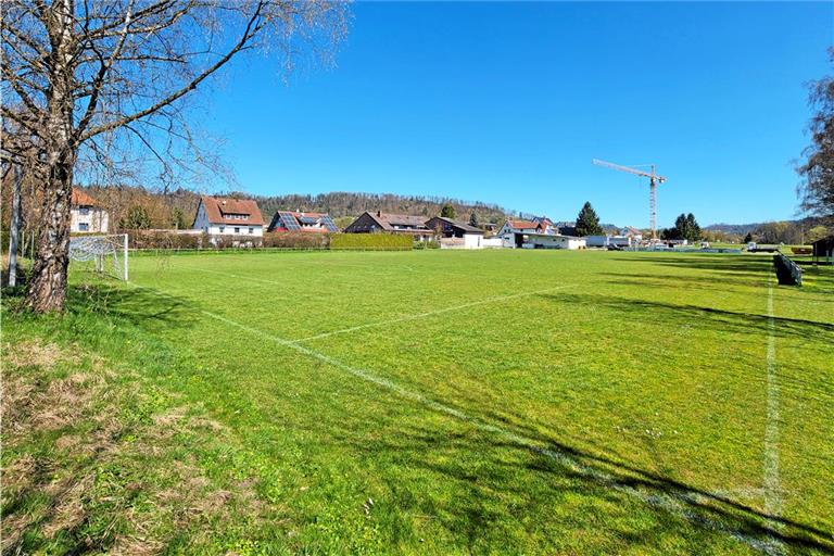 Der Sportplatz in Fornsbach ist in Eigenregie entstanden und wurde auch lange sebst unterhalten, ebenso die Anlage in Kirchenkirnberg. Foto: Stefan Bossow
