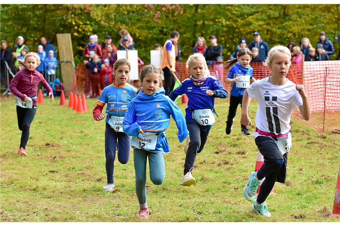 Der Start der Mädchen Schülerinnen D. Kinder Crossduathlon Backnang 2025 rund um...