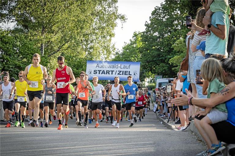 Der Startschuss zum 10-Kilometer-Rennen beim diesjährigen Auenwaldlauf. Fotos: Alexander Becher (3), Lars Laucke