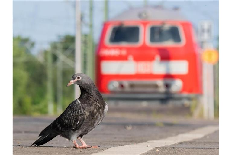 Der Streik bei der Deutschen Bahn ist vorerst beendet. Foto: Julian Stratenschulte/dpa