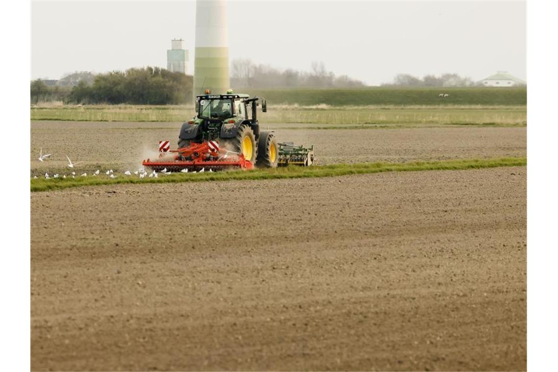 Ringen um EU-Agrarreform könnte in entscheidende Phase gehen Der Streit um die Reform der EU-Agrarpolitik geht möglicherweise in die entscheidende Phase. Foto: Frank Molter/dpa