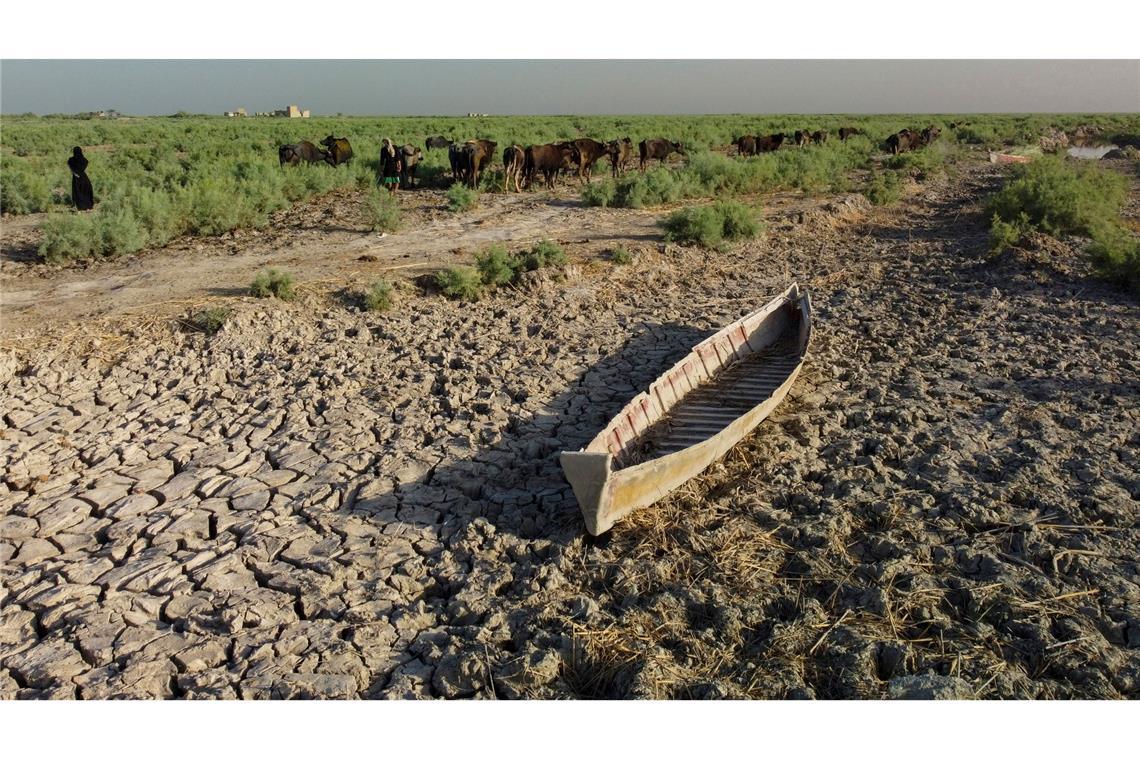Alltag ohne Wasser: Blick in austrocknende Weltregionen Der südliche Irak könnte wegen Wasserknappheit bald unbewohnbar werden.