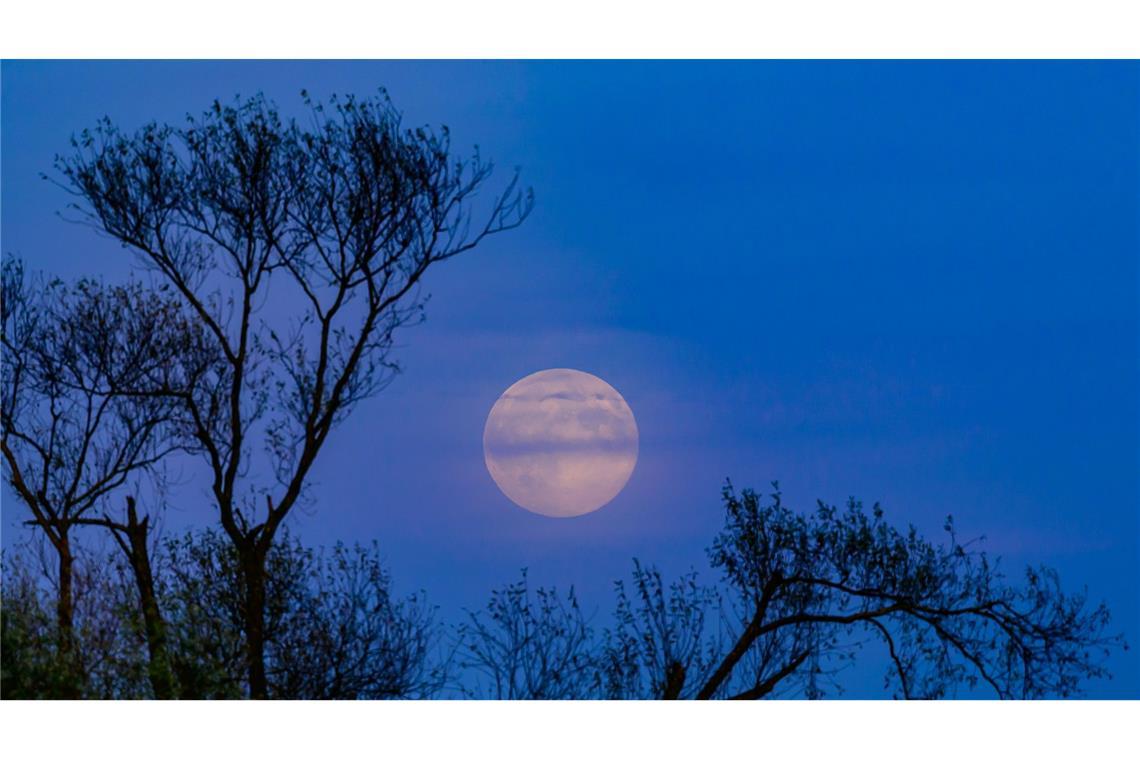 Supermond leuchtet am Himmel – die besten Bilder