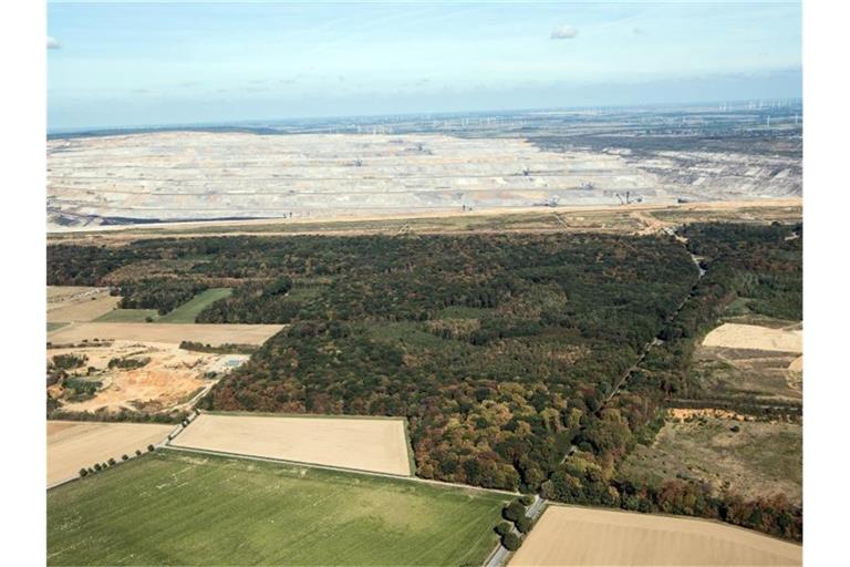 Der Tagebau Hambach schiebt sich Stück für Stück an den Hambacher Forst. Foto: Federico Gambarini/dpa