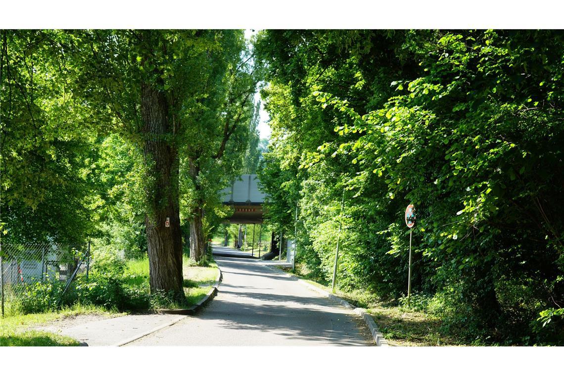 25-Jähriger durch Schuss in Göppingen schwer verletzt Der Tatort in der Göppinger Pappelallee am Sonntagmorgen nach der Tat.