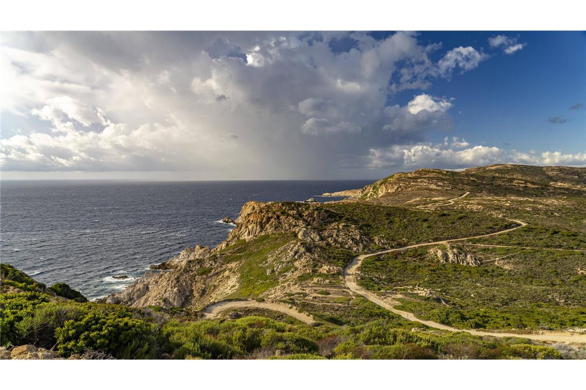 Der Tote wurde in einem Waldgebiet auf Korsika gefunden. (Archivbild)