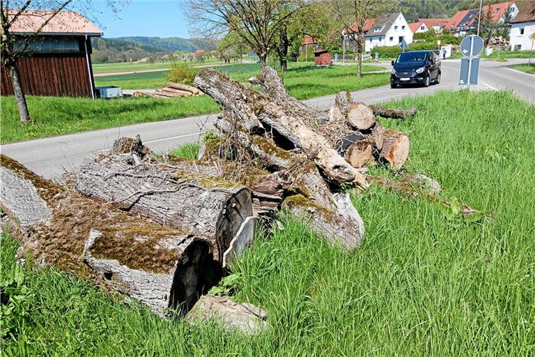 Der Totholzhaufen erregt im Ort einiges an Aufmerksamkeit. Foto: Ute Gruber