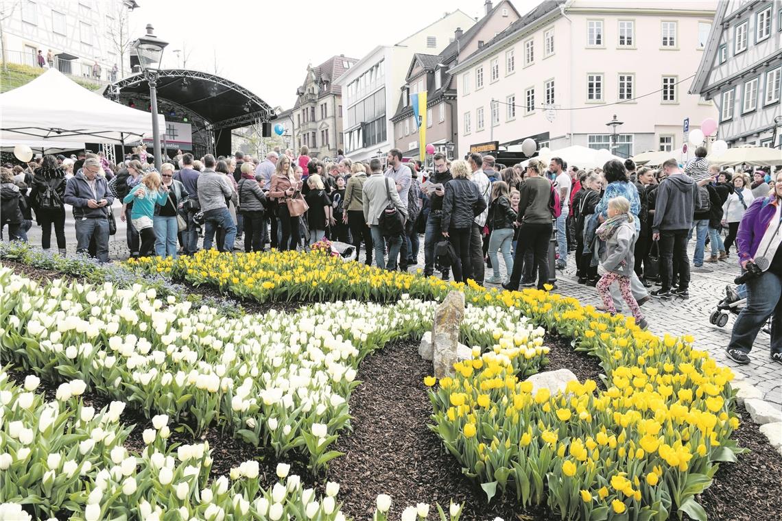 Mit Optimismus ins kommende Jahr Der Tulpenfrühling, stets ein Besuchermagnet, musste dieses Jahr ausfallen. Für 2021 ist die Veranstaltung aber wieder geplant. Archivfoto: E. Layher