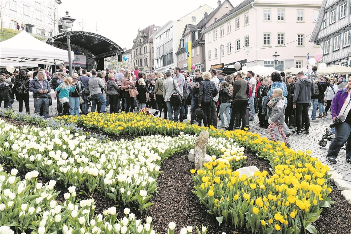 Der Tulpenfrühling, stets ein Besuchermagnet, musste dieses Jahr ausfallen. Für 2021 ist die Veranstaltung aber wieder geplant. Archivfoto: E. Layher