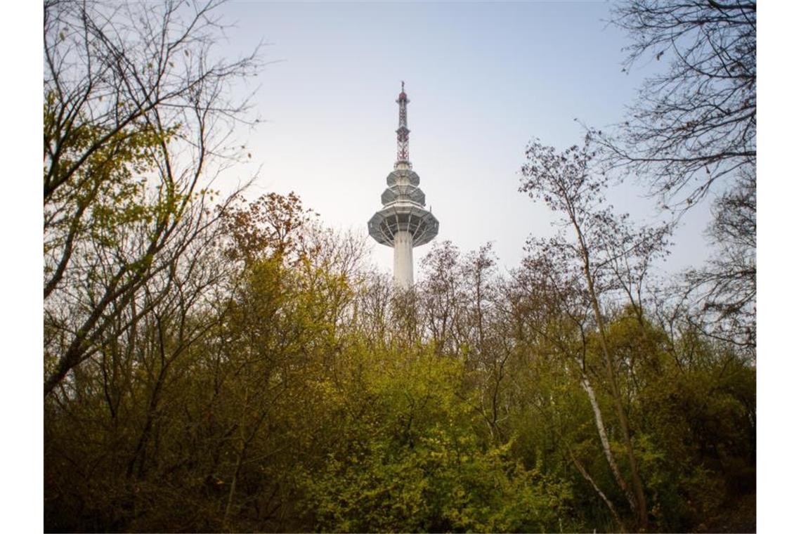Der Turm vom Sender Frohser Berg südlich von Magdeburg. Über den Funkturm werden unter anderem Radioprogramme abgestrahlt. Foto: Klaus-Dietmar Gabbert/dpa-Zentralbild/ZB