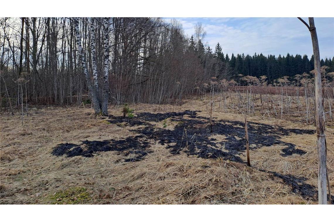 Der ukrainische Abwehrkampf gegen Russland zieht die baltischen Staaten in Mitleidenschaft.