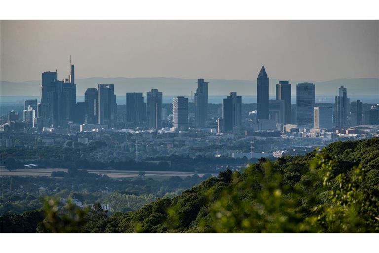 Der Umweltverband WWF kritisiert Banken für fehlende Klimaschutzbemühungen