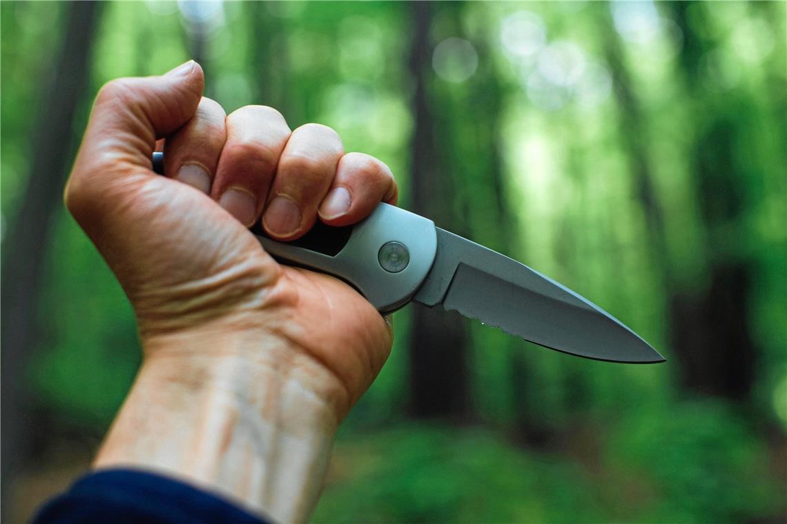 Schwestern mit Messer bedroht Der unbekannte Hundehalter zog plötzlich ein Messer. Symbolfoto: Unsplash/Markus Spiske