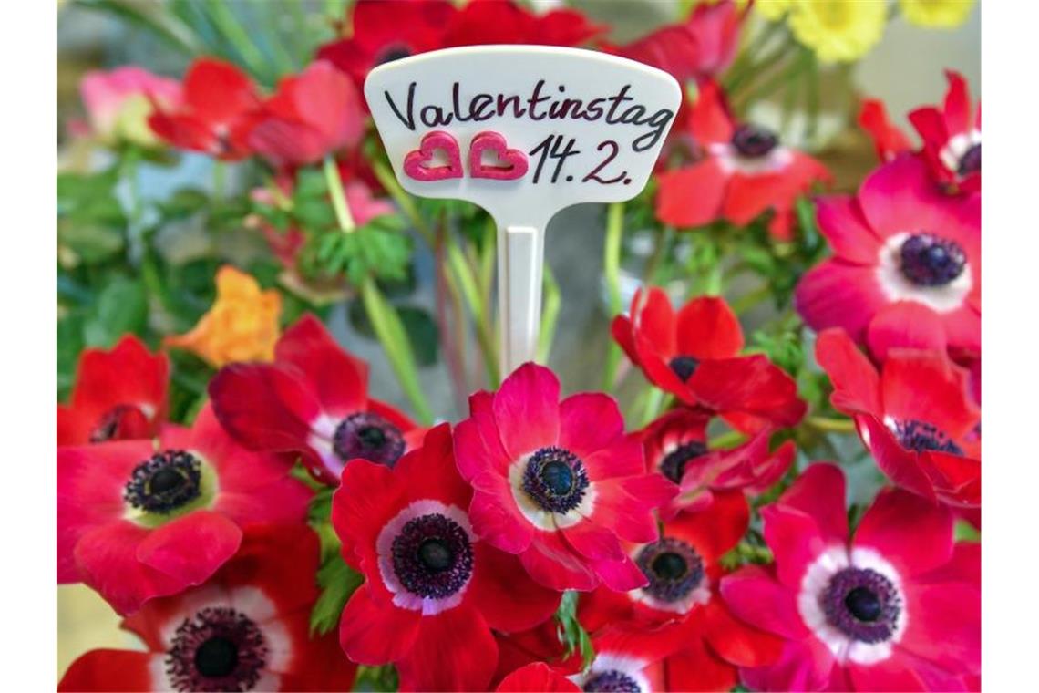 Verbraucher sind am Valentinstag in Verwöhnlaune Der Valentinstag am 14. Februar wird in diesem Jahr wegen der Corona-Pandemie anders begangen werden müssen. Foto: Patrick Pleul/dpa-Zentralbild/dpa