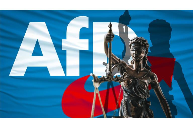 Der Verfassungsschutz stuft die AfD Brandenburg als rechtsextrem ein. (Symbolbild)