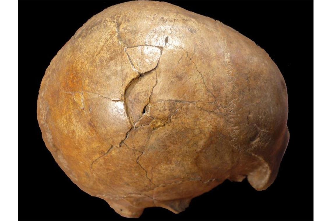 Tübinger Forscher weisen Gewalttat nach: 33 000 Jahre danach