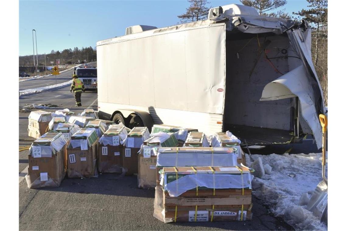 Laboraffen türmen nach Autounfall Der verunglückte Lastwagen auf der State Route 54. Bei den Affen soll es sich Medienberichten nach um Laboraffen handeln. Foto: Jimmy May/Bloomsburg Press Enterprise/AP/dpa
