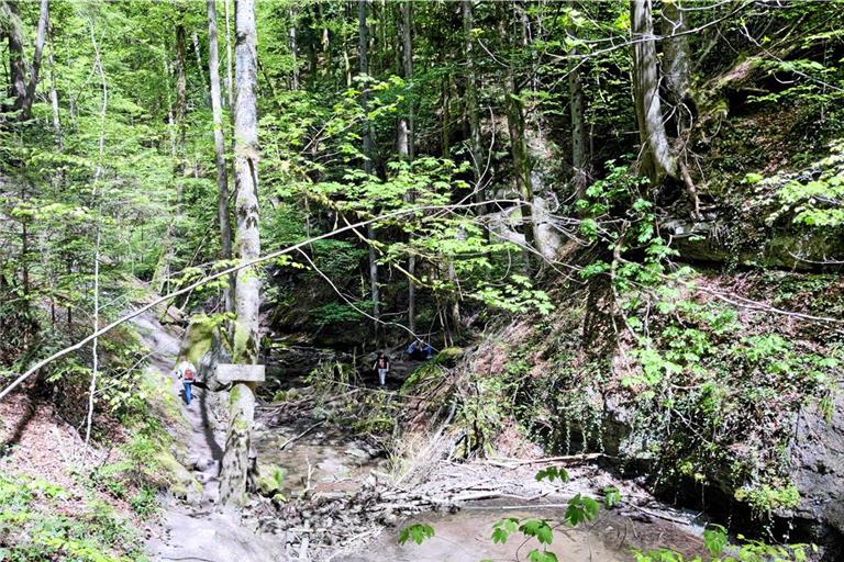 Der verwunschene Weg durch die Schlucht von den hinteren zu den vorderen Wasserfällen ist derzeit gesperrt. Fotos: privat