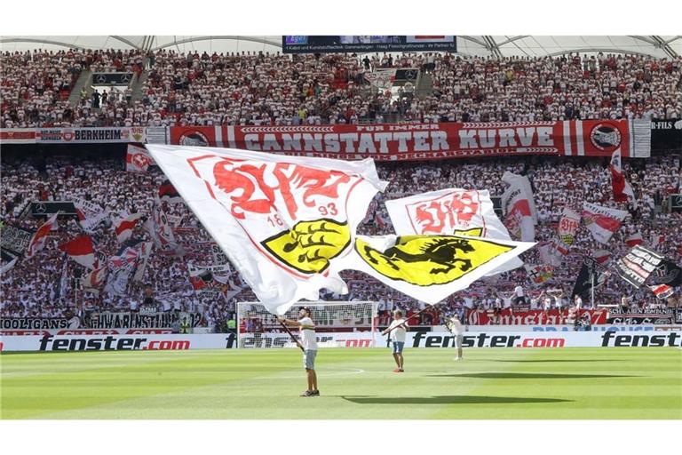 Der VfB empfängt in der Champions League am Mittwoch Viking Stavanger.