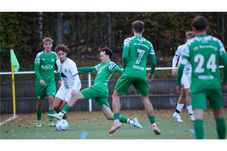 Der VfL Herrenberg (in Grün) geht nach dem 7:1-Sieg bei der SpVgg Holzgerlingen (in Weiß) mit Rückenwind ins Stadtderby gegen den Türk SV.