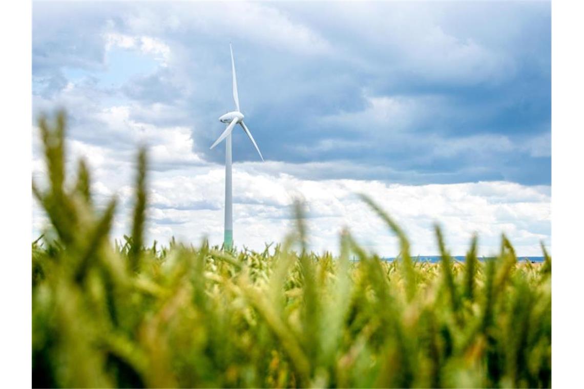 Der von Windkraftanlagen an Land geht weiterhin schleppend voran. Foto: Hauke-Christian Dittrich/dpa