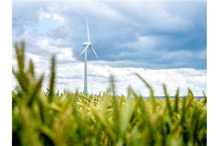 Der von Windkraftanlagen an Land geht weiterhin schleppend voran. Foto: Hauke-Christian Dittrich/dpa