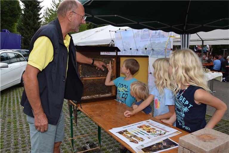 Der Vorsitzende des Bezirksbienenzüchtervereins Murrhardt Rudolf Hofmann zeigt den Kindern die mit einem gelben Punkt markierte Königin des Bienenvolks im Schaukasten. Foto: Elisabeth Klaper