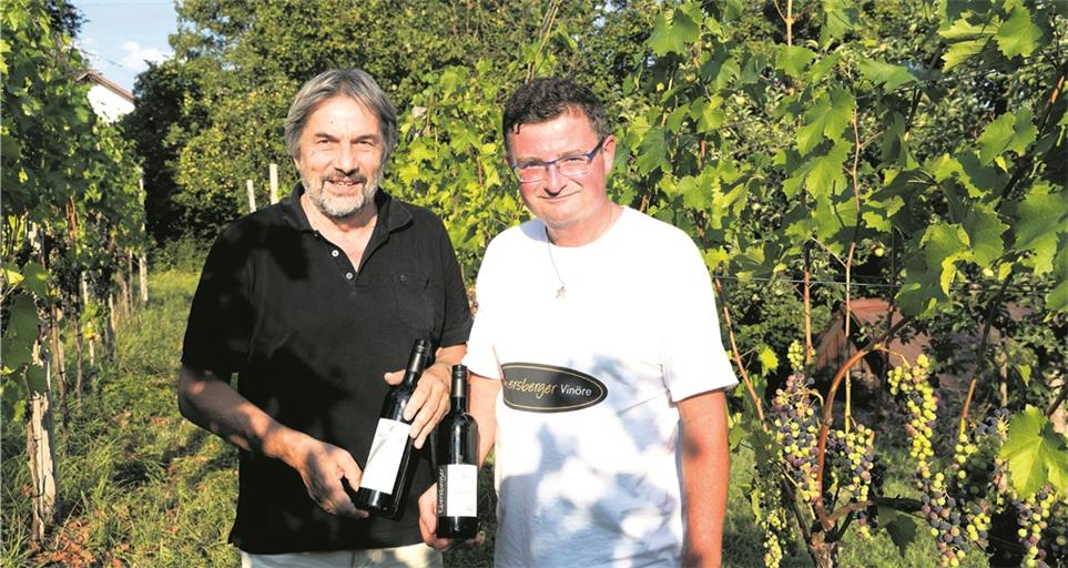 Der Vorsitzende des Heimatvereins Weissacher Tal, Jürgen Hestler (links), und Weinbauexperte Achim Keser freuen sich über den edlen Tropfen aus dem Weissacher Museumswengert. Foto: J. Fiedler