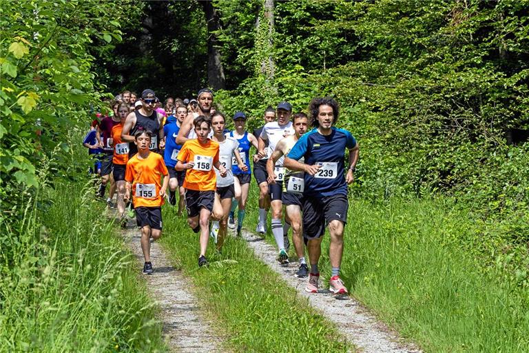 Der Wald- und Wiesenlauf wird seinem Namen gerecht. Foto: Alexander Becher
