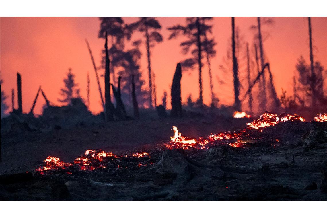 Der Waldboden brennt in einem Waldstück der Saalfelder Höhe.