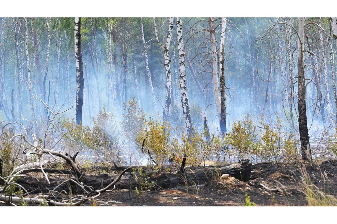Der Waldbrand auf dem mit Kampfmitteln belasteten Gelände bei Jüterbog ist der bislang größte Waldbrand in dieser Saison in Brandenburg.