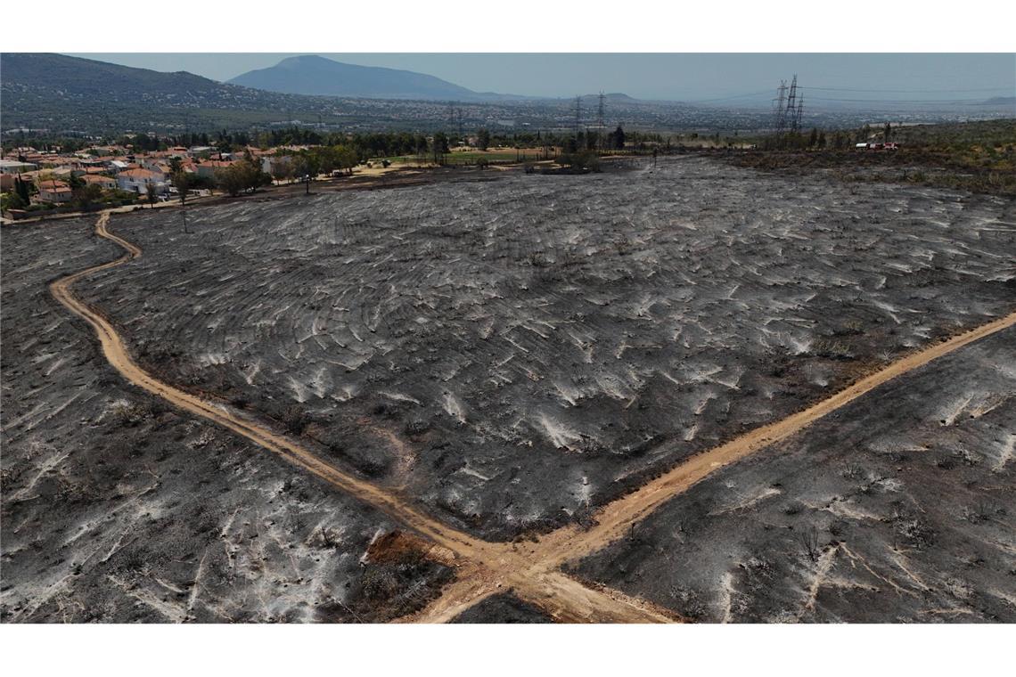 Der Waldbrand bei Krioneri nahe Athen hat nur verkohlte Landschaft hinterlassen.
