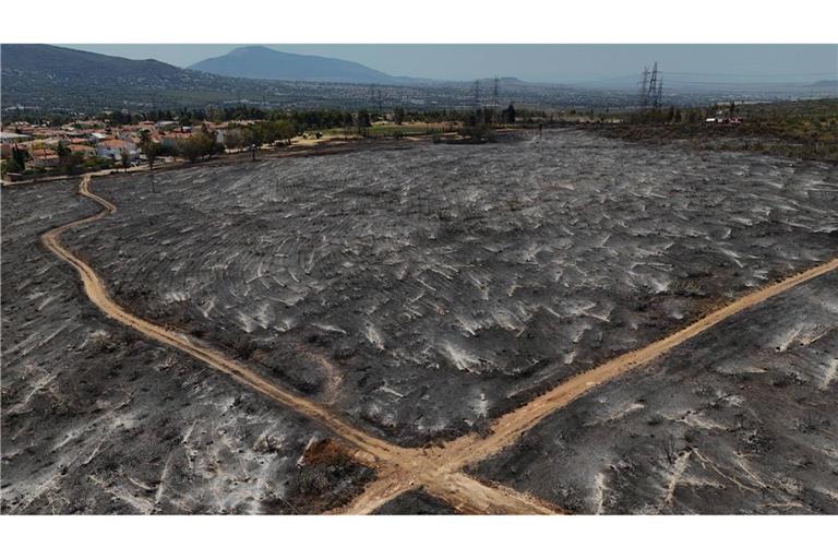 Der Waldbrand bei Krioneri nahe Athen hat nur verkohlte Landschaft hinterlassen.