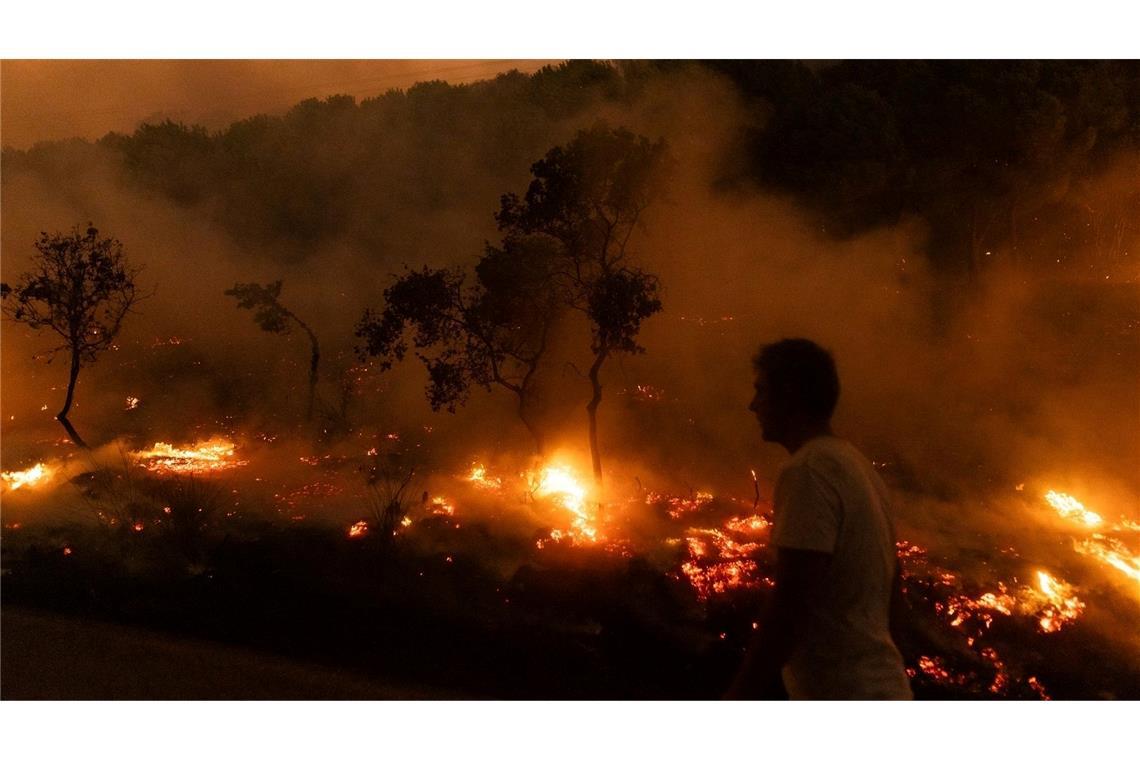 Bericht: 2023 eines der schlimmsten Waldbrandjahre in Europa Der Waldbrand in der Nähe der griechischen Stadt Alexandroupolis im Jahr 2023 war der größte bisher registrierte Brand in Europa. (Archivbild)