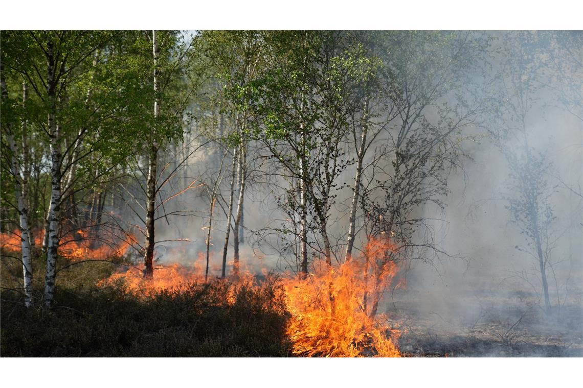 Feuerwehren kämpfen gegen etliche Waldbrände