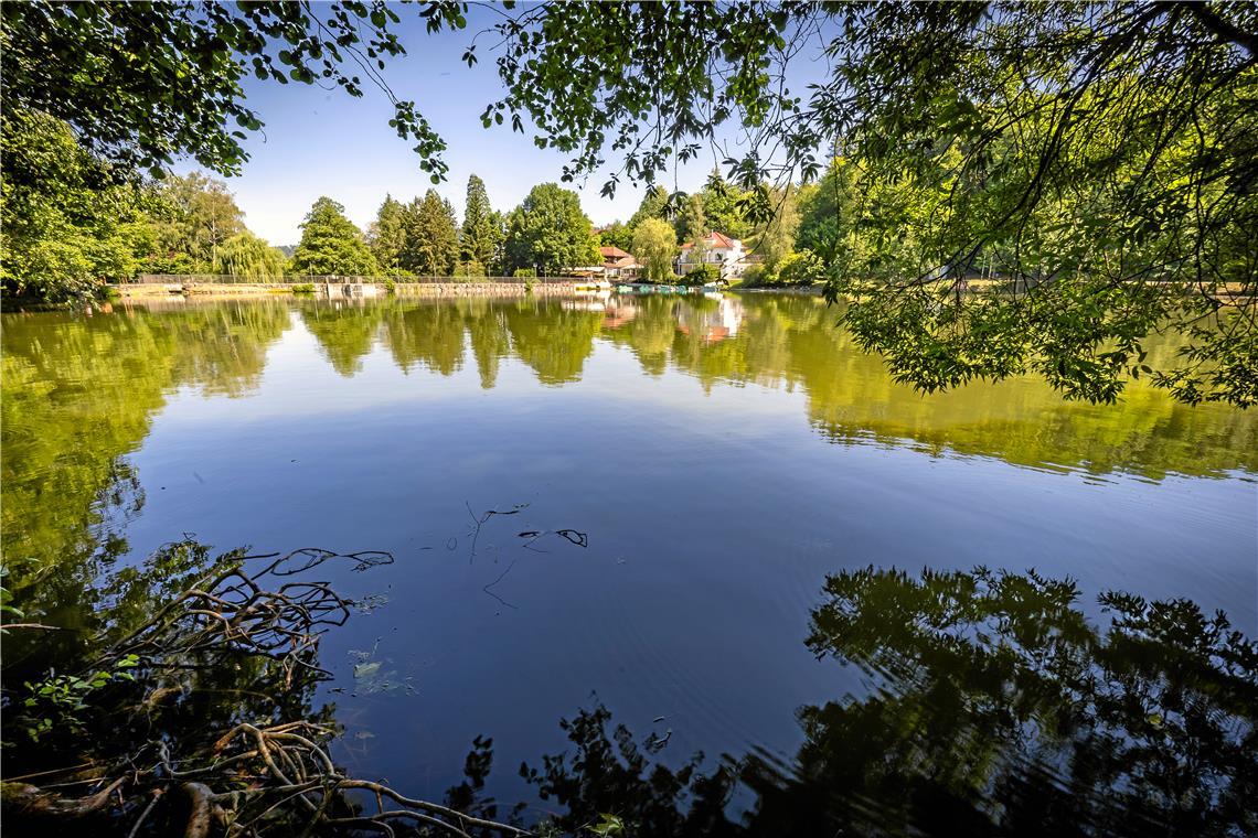 Der Waldsee lädt zum Baden ein. Foto: Alexander Becher