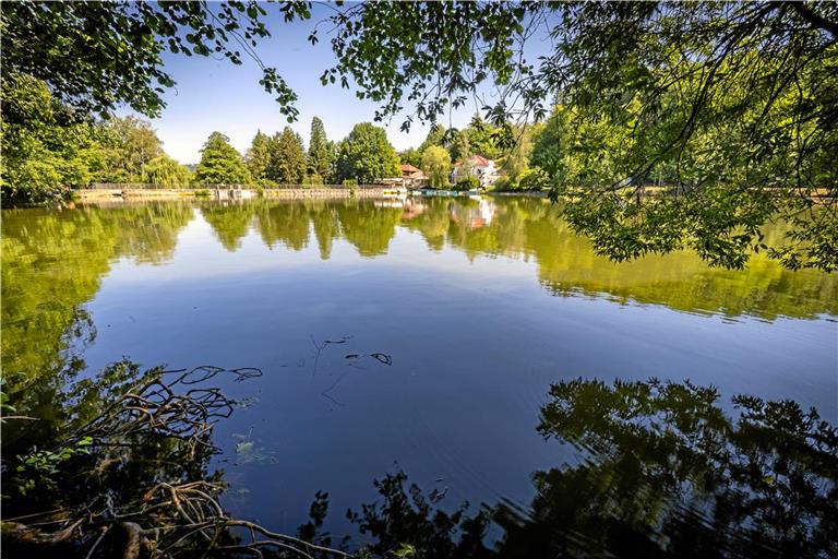 Der Waldsee lädt zum Baden ein. Foto: Alexander Becher