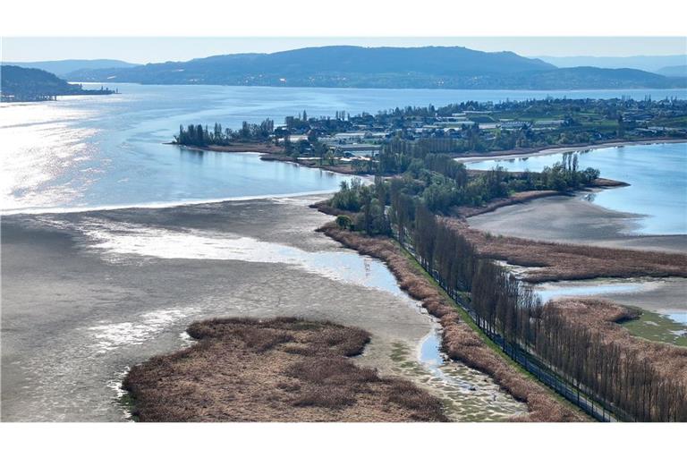 Der Wasserstand des Bodensees ist auf einem niedrigen Stand. Rund um die Insel Reichenau wird das deutlich, hier beim Wollmatinger Ried.