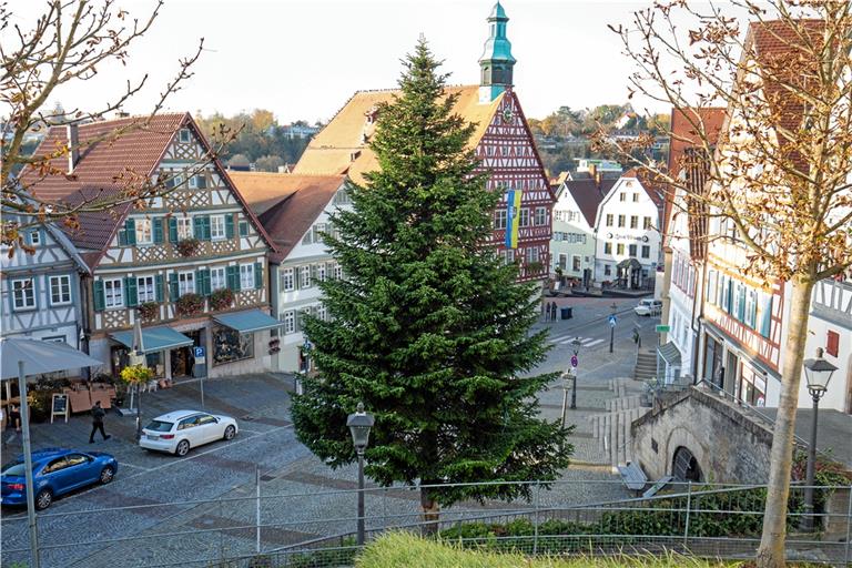 Der Weihnachtsbaum steht: Eine Weißtanne schmückt Backnangs Marktplatz. Foto: A. Becher