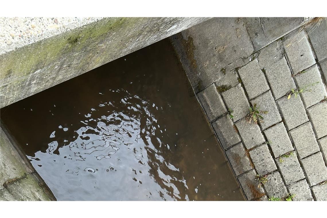 Wein aus 30.000 Liter-Fass fließt in Bach Der Wein floss in einen Bach.