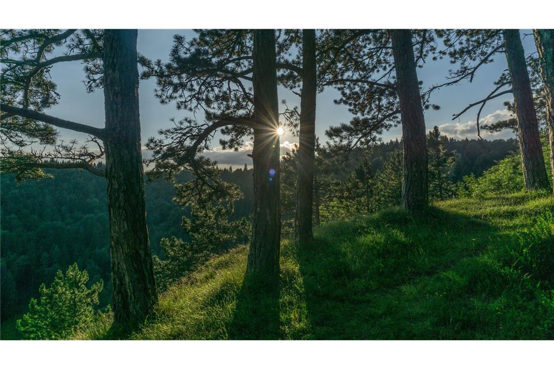6 x 60 Kilometer Laufen – mit einem guten Essen kein Problem Der Wenzelstein, ein Nebengipfel des Schafsteins, besticht durch seine abgeschiedene Lage.