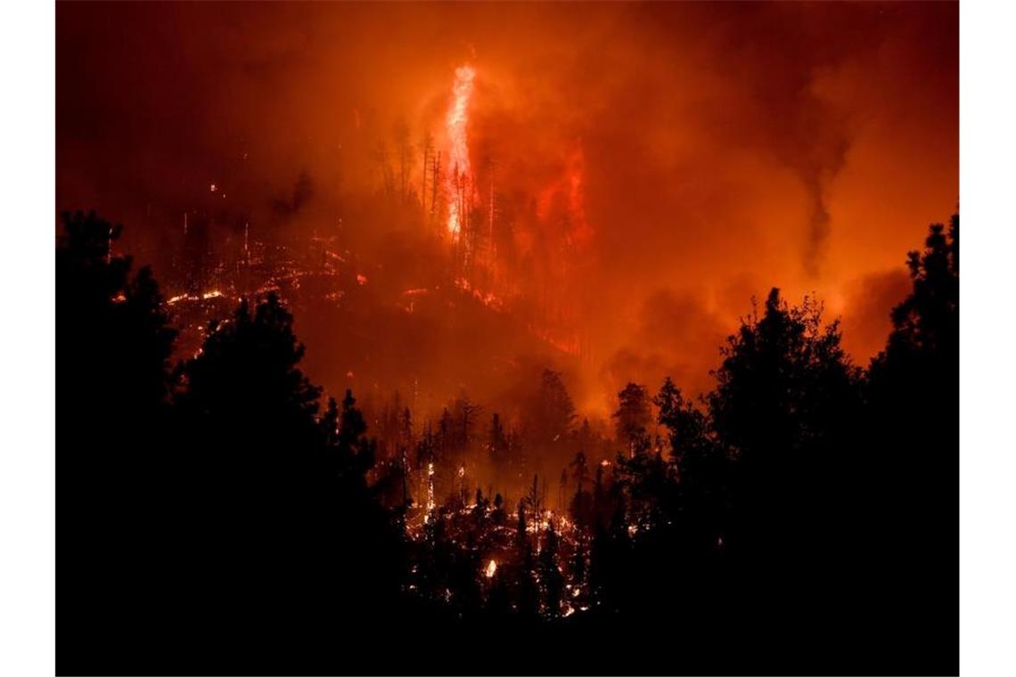 Inferno in Kalifornien: Erbitterter Streit um die Ursachen Der Westen der USA kämpft weiter gegen extreme Brände, die Ängste vor den Folgen des Klimawandels schüren. US-Präsident Trump bewertet die Lage anders - und stellt Erkenntnisse der Wissenschaft in Frage. Foto: Will Lester/Orange County Register via ZUMA/dpa