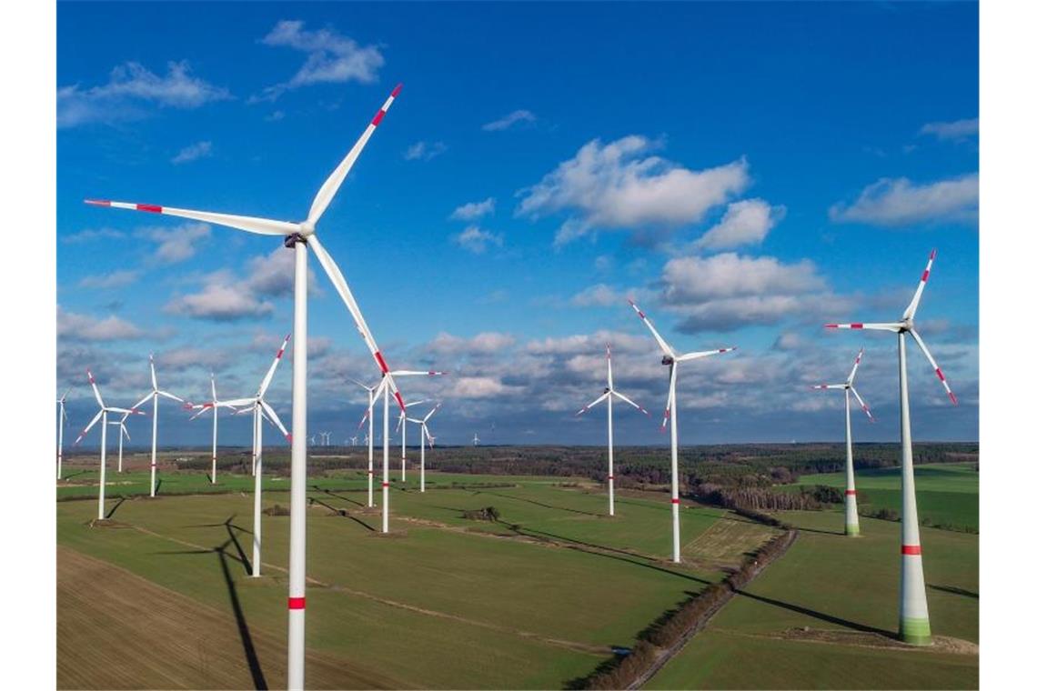 Windräder liefern Strom wie noch nie Der Windenergiepark „Odervorland“. Foto: Patrick Pleul/Archiv