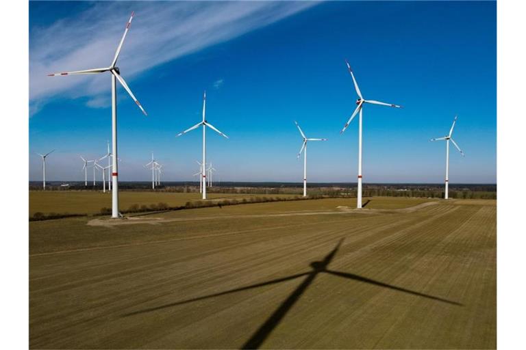 Der Windpark „Albertshof“ der Berliner Stadtwerke in Brandenburg. Geht es nach Umweltministerin Schulze sollen viel mehr solcher Windparks entstehen. Foto: Patrick Pleul/dpa-Zentralbild/dpa