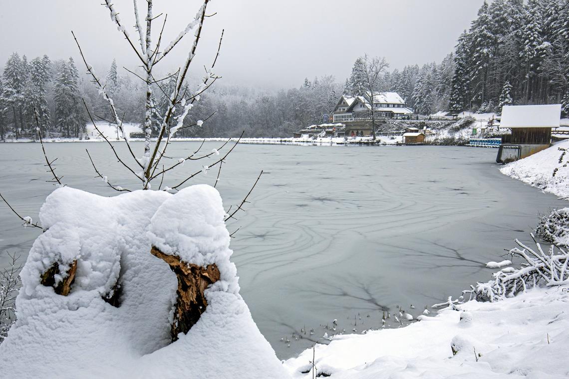 Der Winter hat über Nacht am Ebnisee Einzug gehalten und mit kaltem Weiß die Uferbereiche und den Wald eingedeckt.