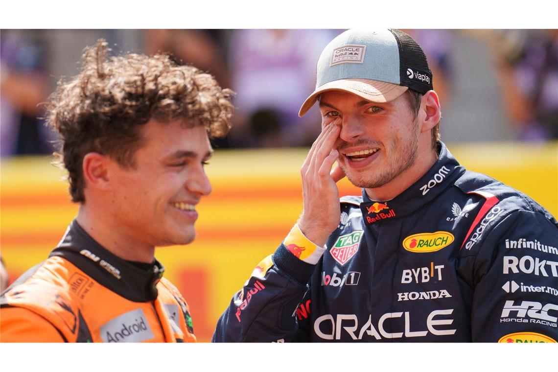 Gegen alle Widerstände: Verstappens wildes Red-Bull-Jahr