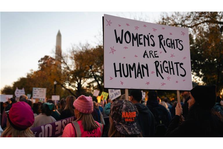 Der Womens March für Abtreibungsrechte im November 2024 in Washington.