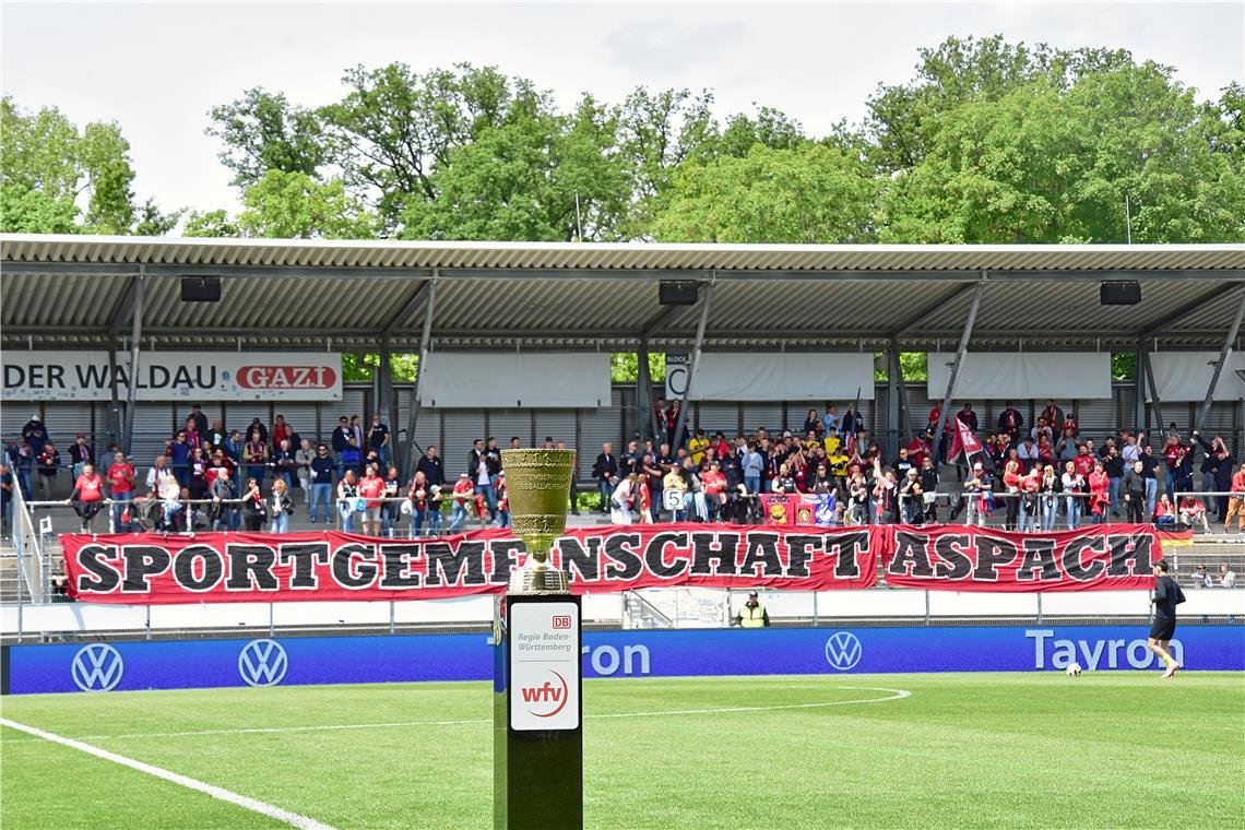 Der Youtuber Tobias Konrad besuchte ein Spiel im Aspacher Stadion. Symbolfoto: Tobias Sellmaier